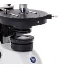 Microscope BioBlue binoculaire de polarisation