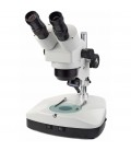 Microscope Novex Zoom stéréoscopique binoculaire AR-Zoom