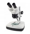Microscope Novex stéréoscopique binoculaire AR-Stereo