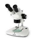 Microscope Novex Zoom stéréoscopique binoculaire AR-Zoom LED