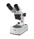 Microscopes Novex stéréoscopique P-10