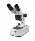 Microscopes Novex stéréoscopique P-10 LED