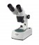 Microscopes Novex stéréoscopique P-10 LED