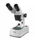 Microscopes Novex stéréoscopique P-20