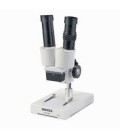 Microscope Novex stéréoscopique AP-1