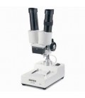 Microscope stéréoscopique Novex AP-2