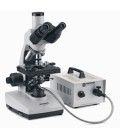 Microscope Novex B trinoculaire BTP pour fond noir