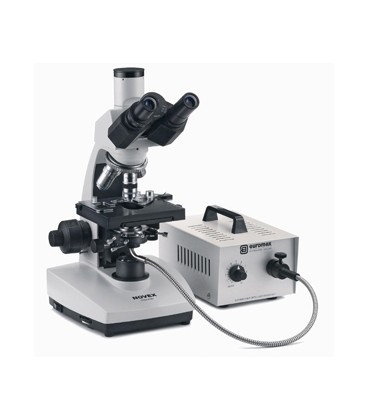 Microscope Novex B trinoculaire BTP pour fond noir