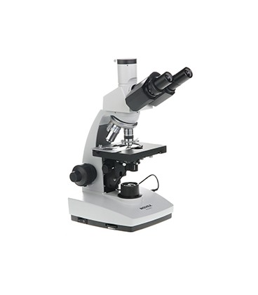 Microscope Novex B trinoculaire BTP pour fond noir