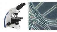 Microscopes contraste de phase